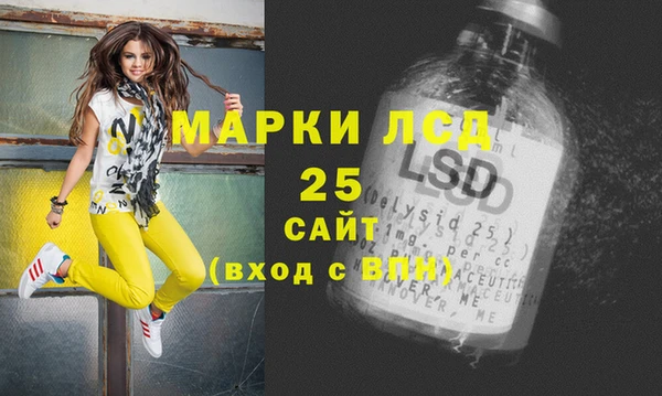 молекула духа Арсеньев