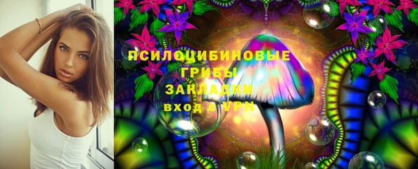 СК Армянск