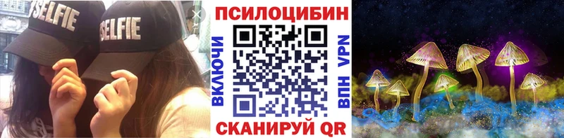 Псилоцибиновые грибы Psilocybe Зима