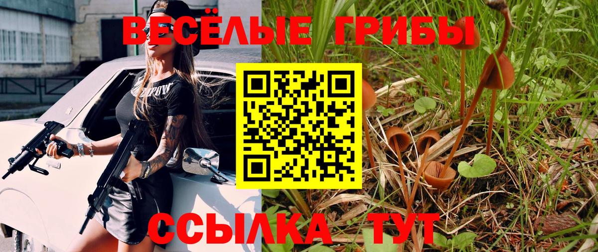 Галлюциногенные грибы Cubensis  Галлюциногенные грибы Magic Shrooms  Зима  Вход с VPN 