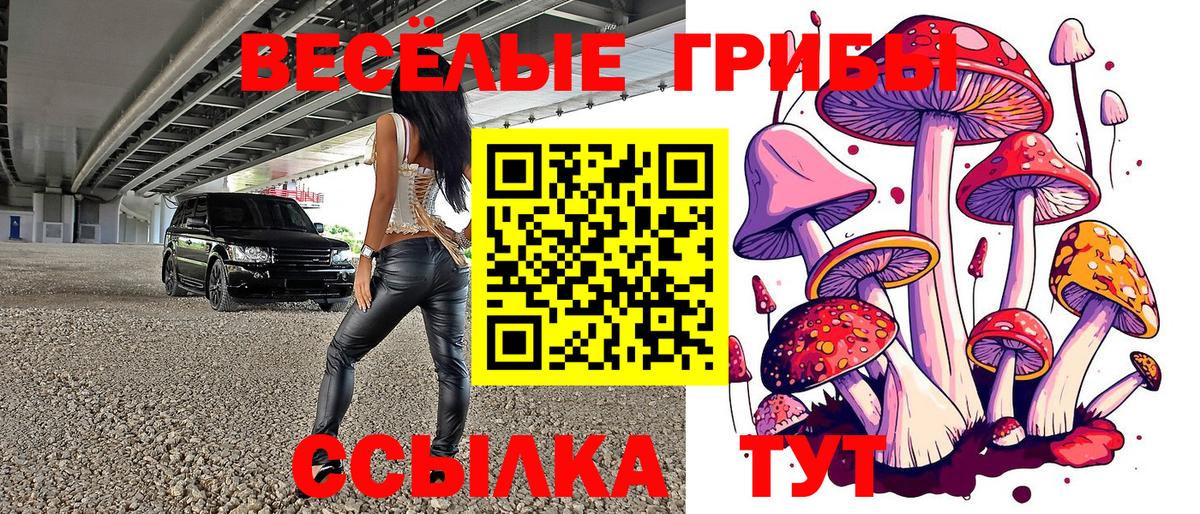 Псилоцибиновые грибы ЛСД Зима